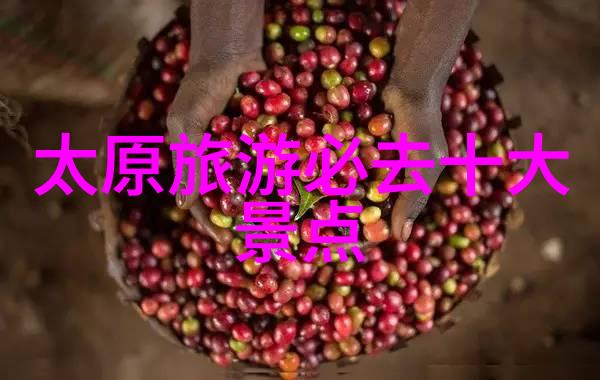 乌镇之谜揭开这座古韵小镇深藏的旅行秘密