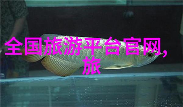 2022武汉黄陂露营团建推荐10人小游戏室外装备列表