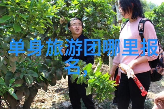 围城txt现代都市情感纠葛的深度小说