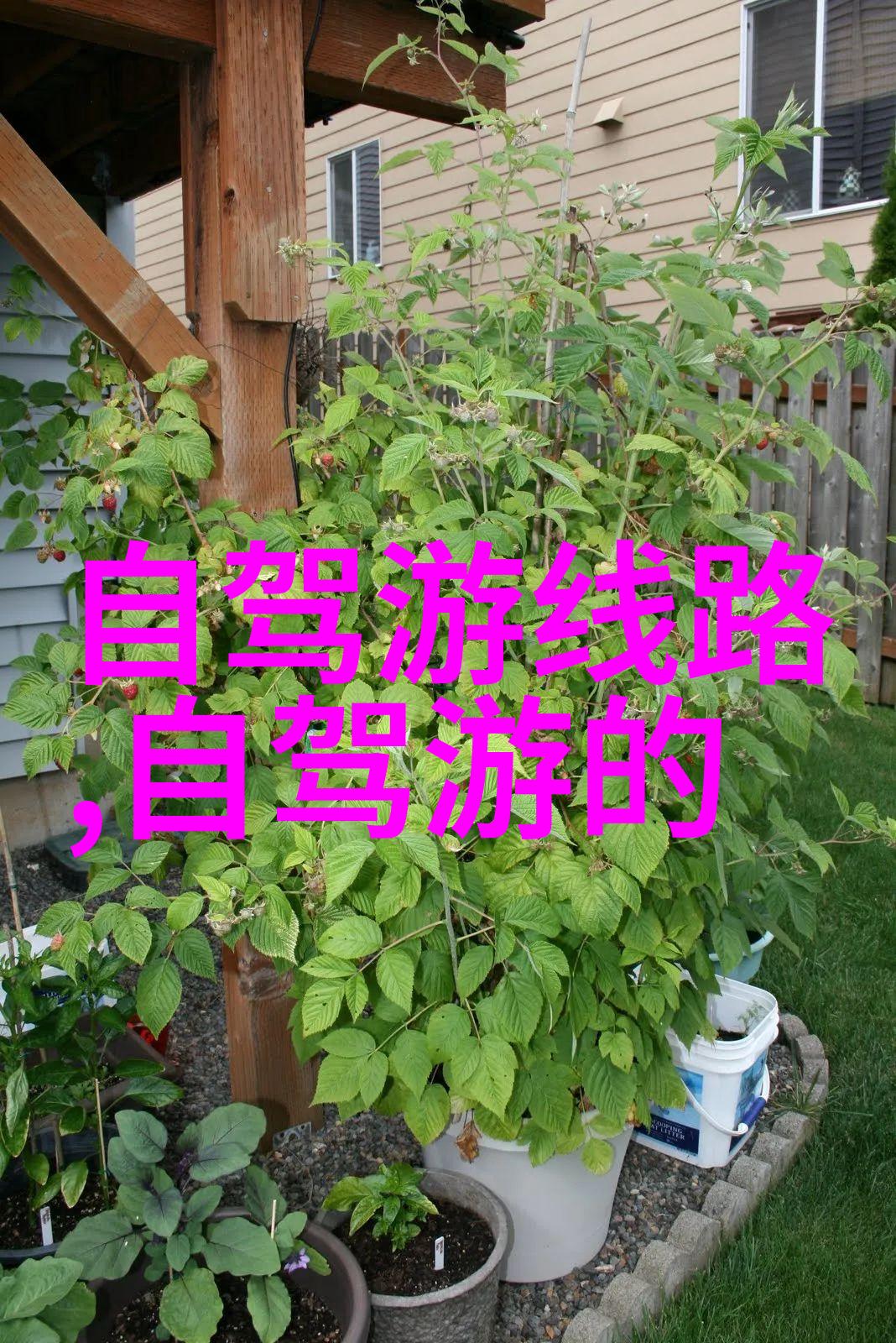 上海乡村旅游精品线路推荐