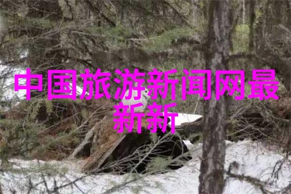 50个趣味单人项目你的创意时间到了