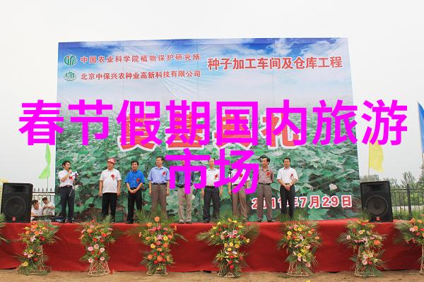南京小吃之冠揭秘最正宗的街头美食
