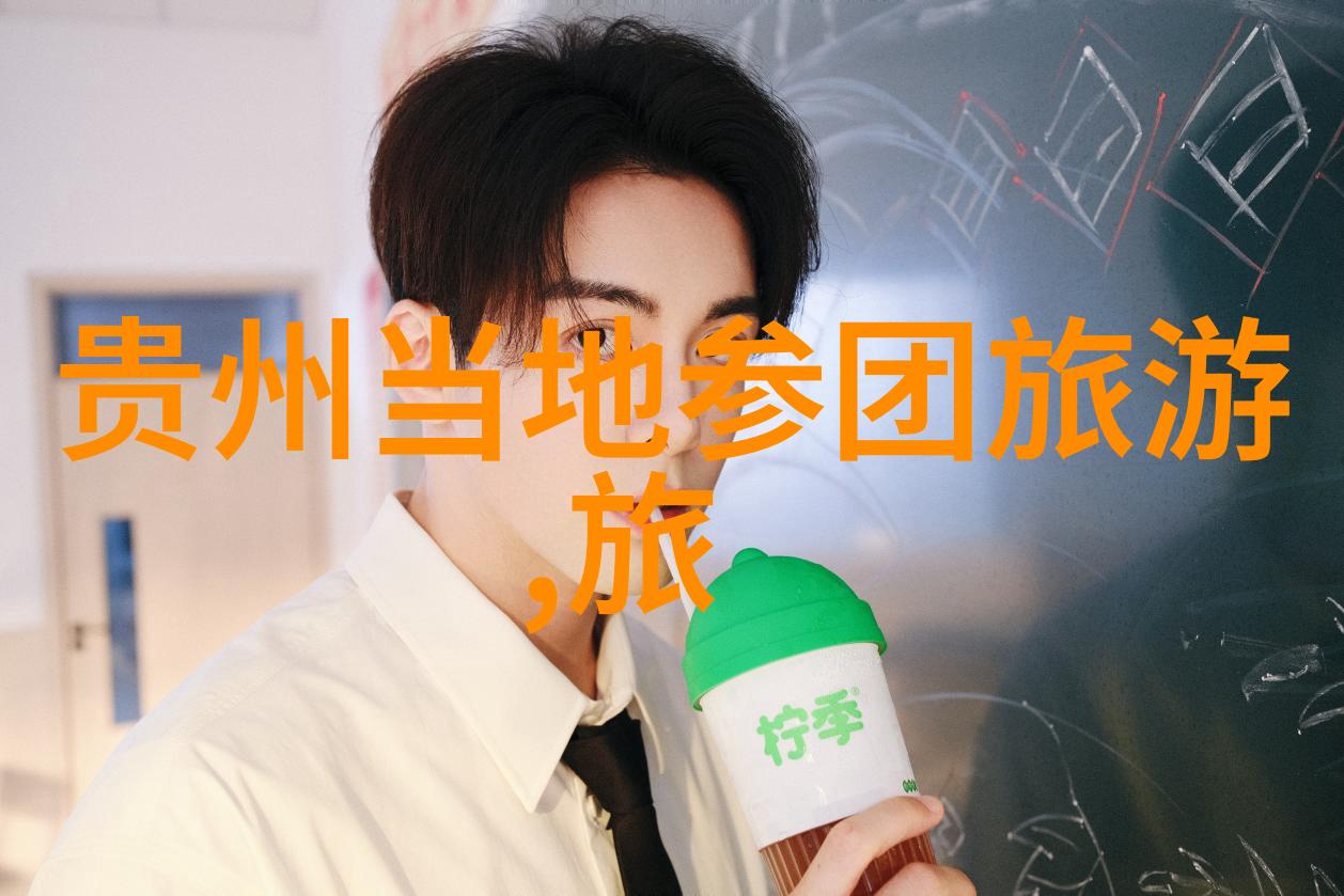 中国旅游数据网-探索中国旅游业新风向如何利用中国旅游数据网提升旅行体验