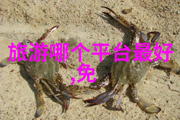 未知的旅程揭秘最隐秘景点