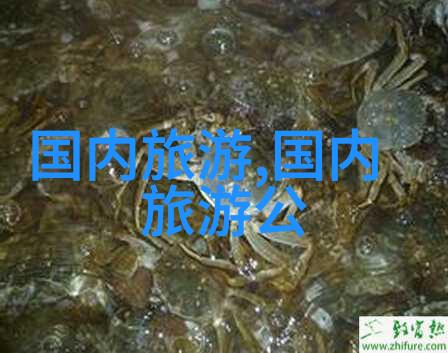 天津周边自驾游来点逆袭吧