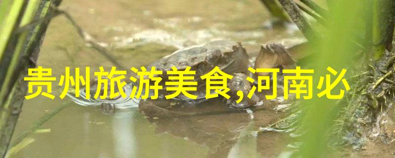体验中外文化融合中国旅游官网上的特色活动