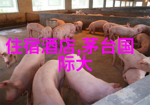 如何快速了解紹興这个城市的一般情况