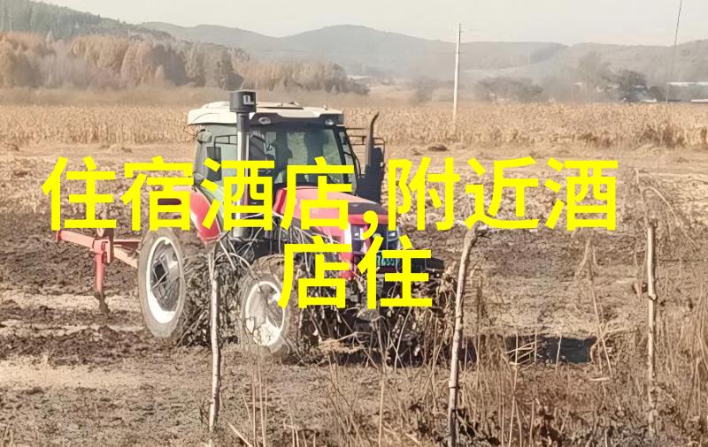 注册旅行社公司需要什么条件企业资质认证经营范围明确资金准备充足安全管理体系完善