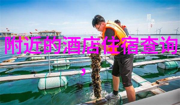 跨越文化界限让每个人都感受家的温暖跨年晚会盛典