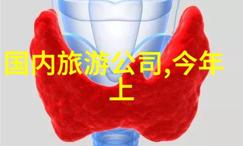 极速骑行4破解版我是如何一夜之间成为极速骑行4破解大侠的