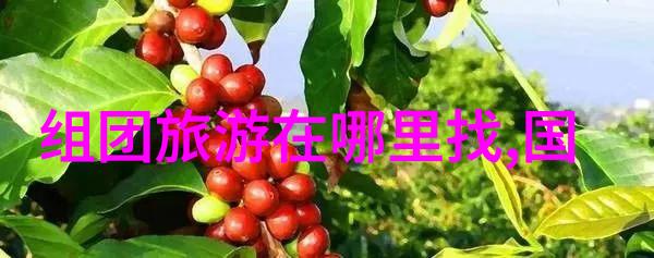 旅游-探索世界奇迹全球十大必游景点