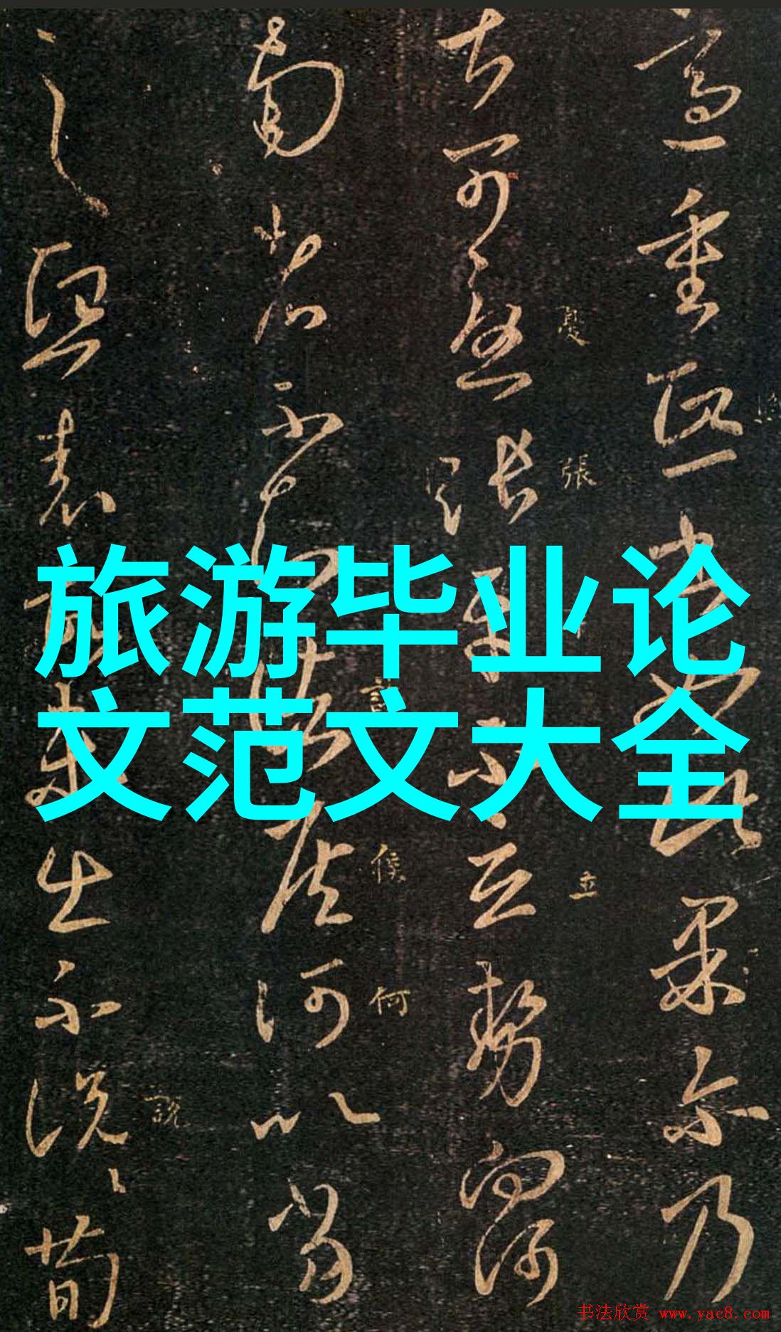 家常美味一网打尽厨房小红书的精选菜谱