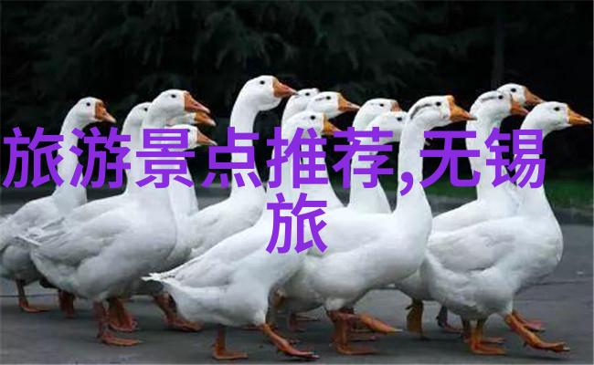你知道吗南尖岩一日游的最佳路线其实是这样的前十名景点