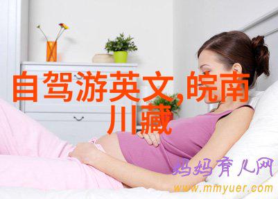 城市中的绿意盎然环卫工人的日常挑战与荣耀