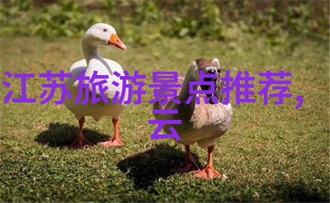 探索上海秘境自驾游趣味攻略
