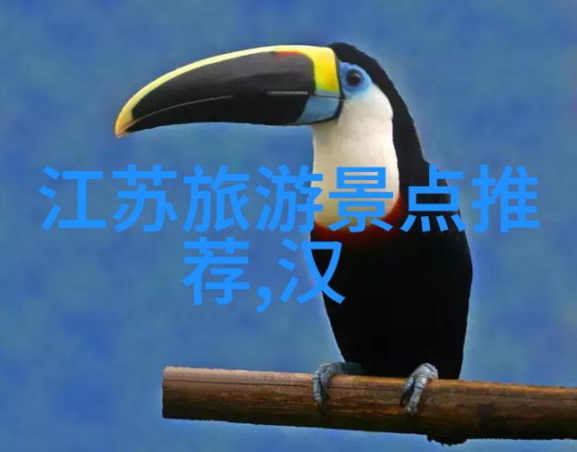 罗申快餐大师班掌握制作快速营养均衡的快餐技巧