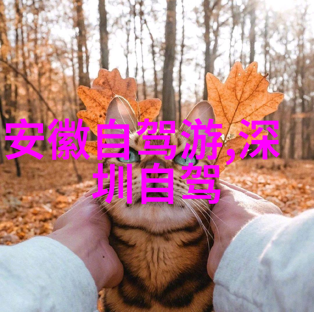 五一长假吸引2.74亿人次国内旅行热潮