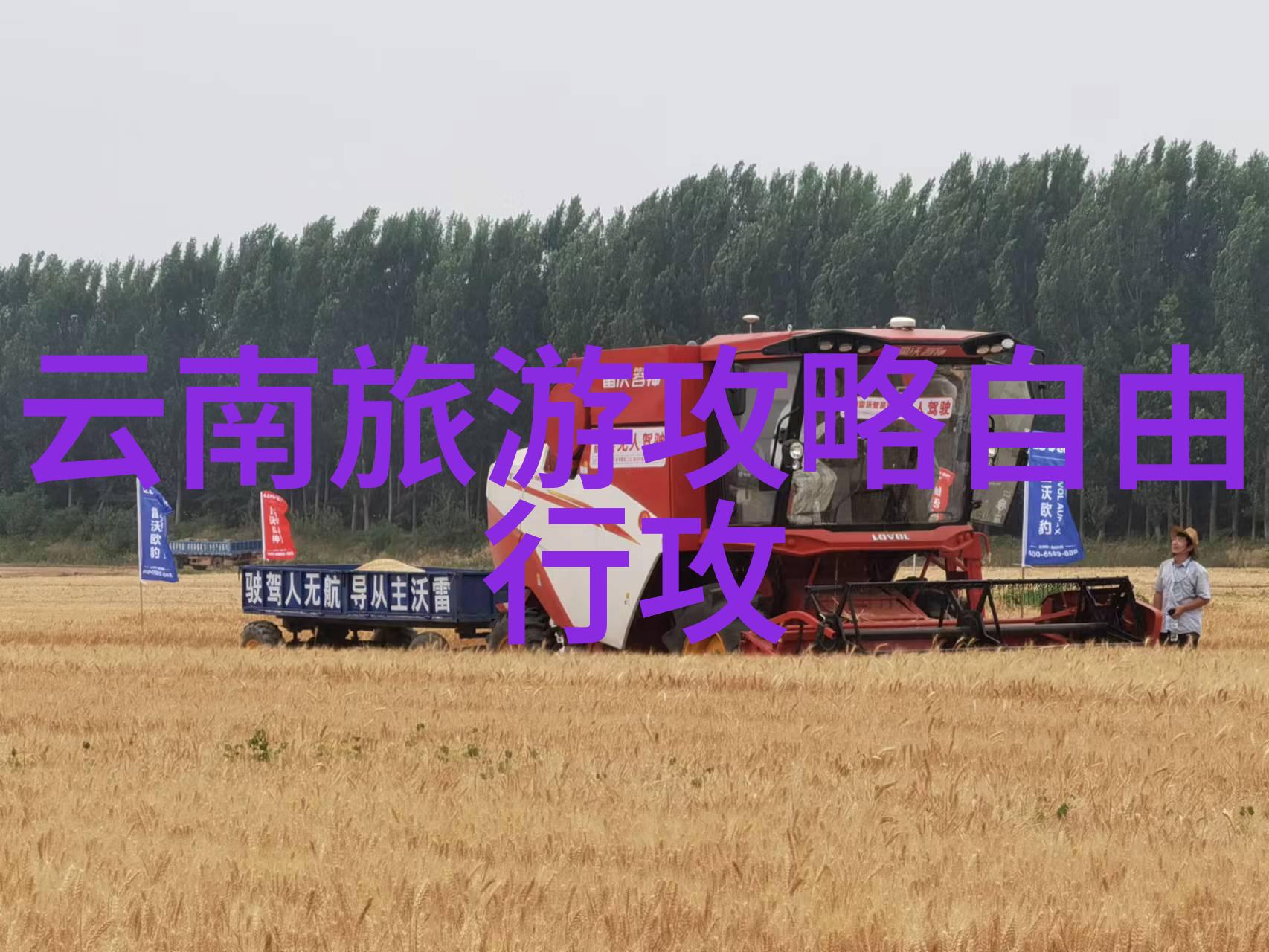 从古至今的建筑艺术芜湖文庙游览手记