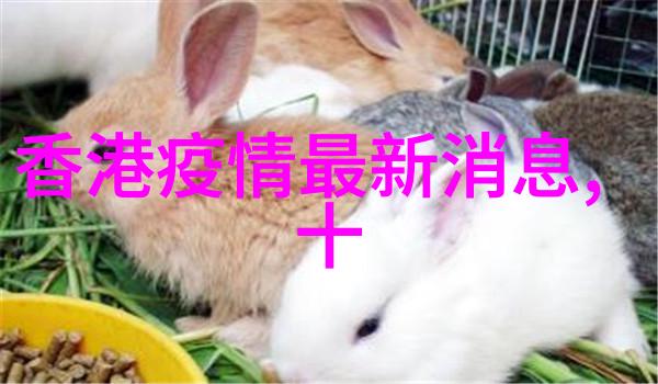 创意融入日常提升工作热情哪些小游戏适合日常办公室使用