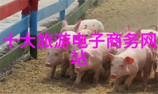 骑行和跑步哪个更锻炼身体 - 轮下飞足骑行与跑步的体能对比