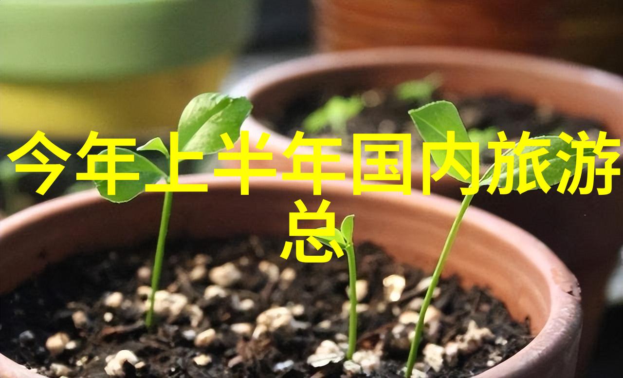 山西自驾游探秘山西的美丽风光与丰富文化