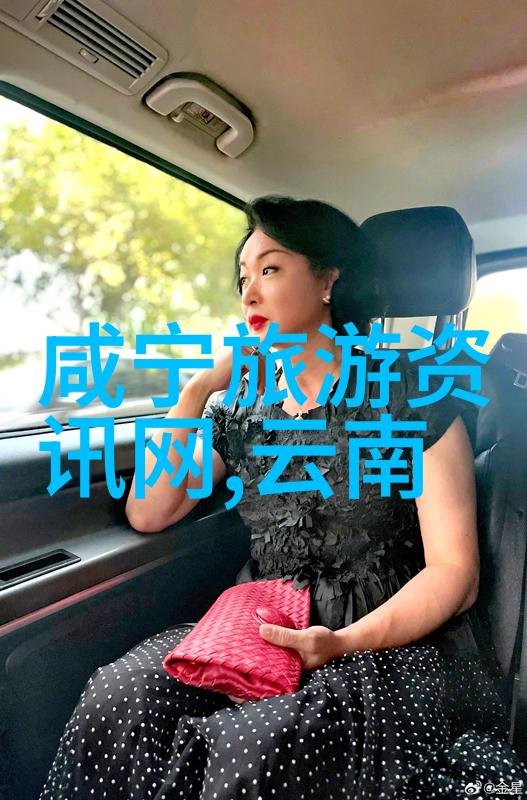 色彩盛宴探索色多多APP下载官网的秘密花园