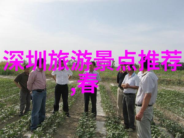 深圳博物馆展览一览深入了解城市文化历史