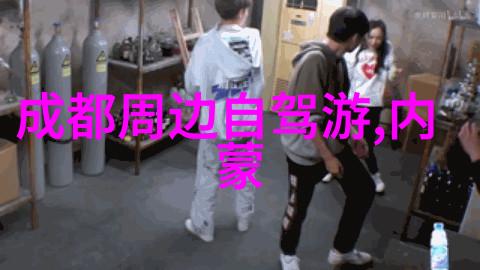 冰雪奇幻世界探索中国最美冬日冰封湖泊