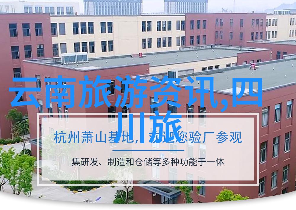 亲子共享喜悦时刻带孩子去尝试那些简单却充满爱心的小吃