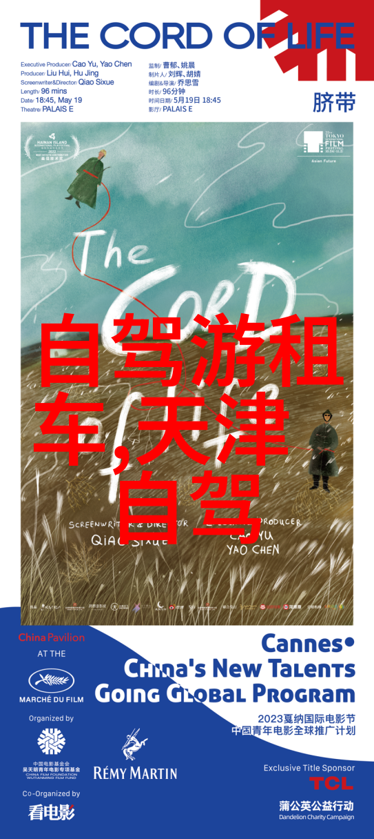 达瓦更扎达利安沃克的音乐生涯