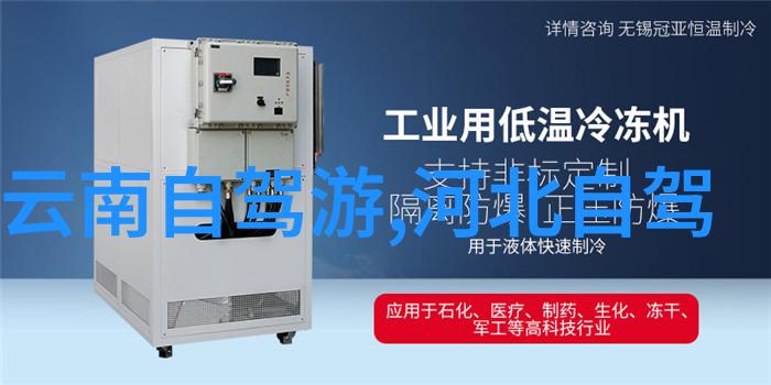 解密数字足迹se999se.com背后的网络世界探秘