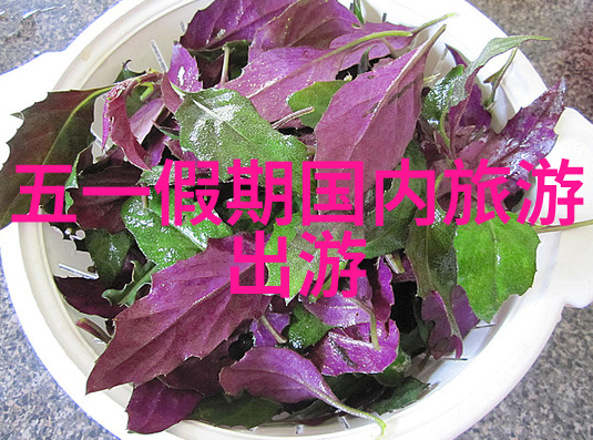 小兔兔的自慰体验