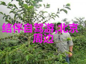 俄罗斯旅游最佳季节正如一幅绚烂多彩的地球画卷在这个时刻被展现得格外生动附俄罗斯地理知识总结一个真实的