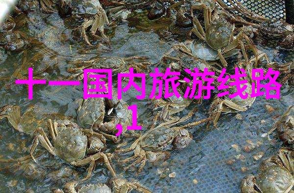 小吃特色培训点缀美食之旅