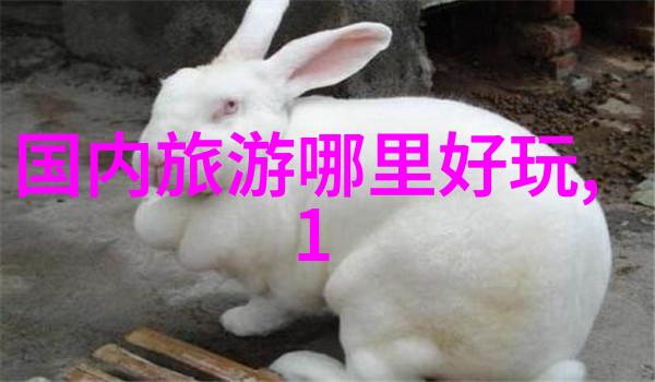 西班牙旅游高峰期中文成临工必杀技在自然景观中的应用前所未有