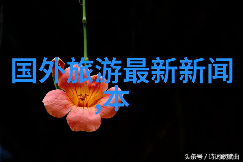 在长途旅行中专业的骑手和业余爱好者之间有什么区别
