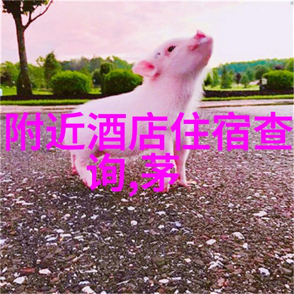 关于云南石林为什么它被誉为天上的仙境又是人间的地狱