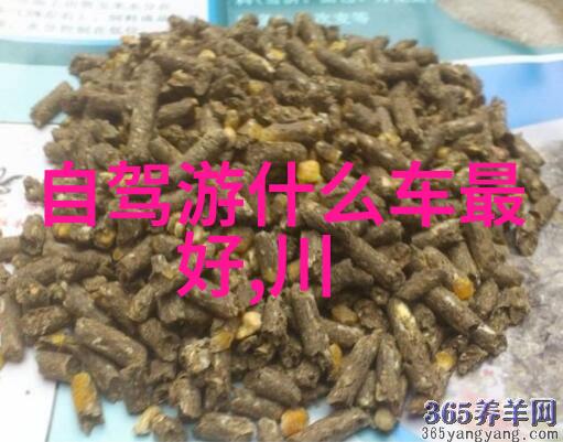 骑行应该准备什么-装备全配安全舒适效率三重保障