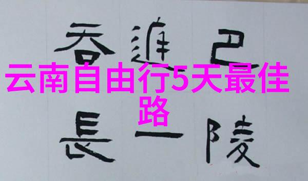 中国行从山寨版大宝剑到真假难辨的故宫门票