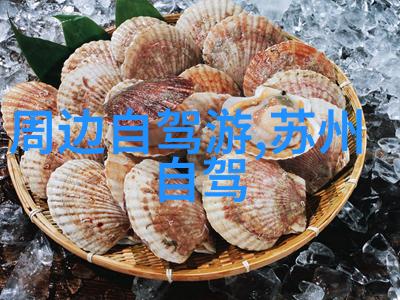 如何选择公园中的最佳攀岩设施以满足不同用户的需求