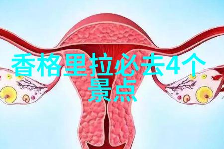 南京旅游必去十大景点推荐探索历史与现代的魅力