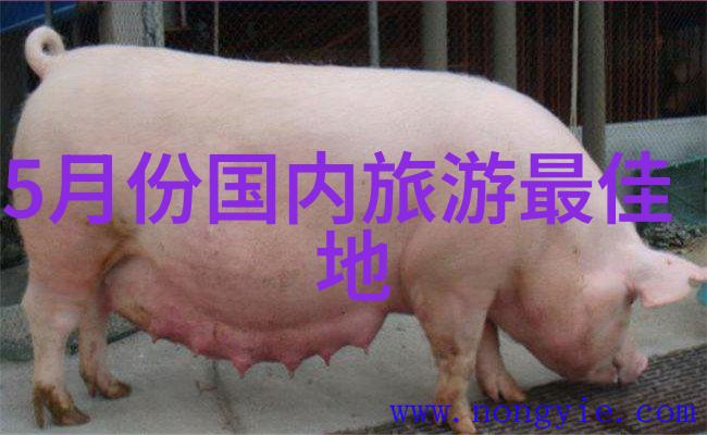 探秘南国之珠广州最美古迹游