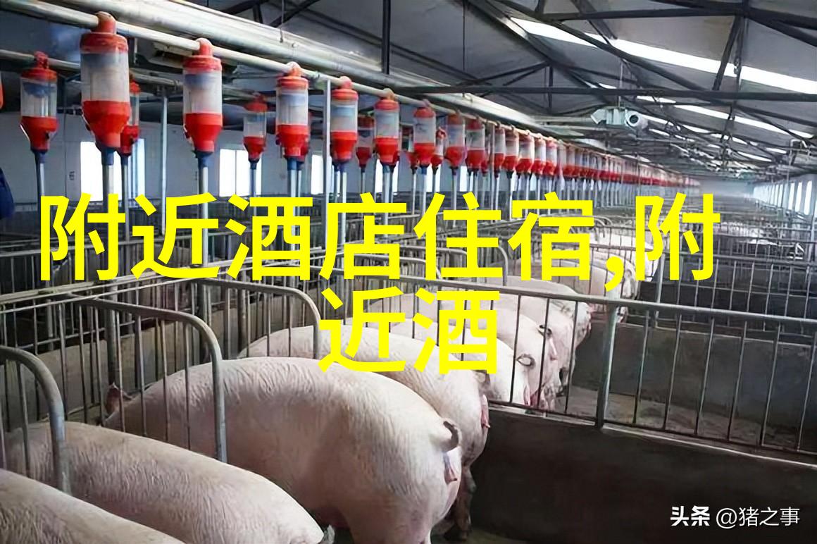 云南探秘之旅纯玩跟团游报价详解