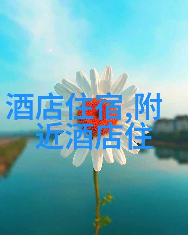 反复探寻全球最适合旅游的国家追踪法国普罗旺斯的位置地图揭开这片风景如画之地在哪里