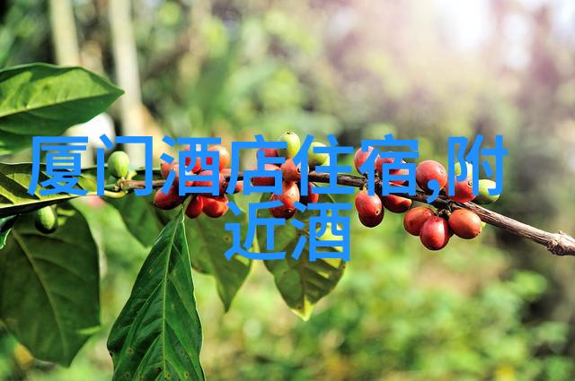 健康旅行指南如何在出行中保持身心健康