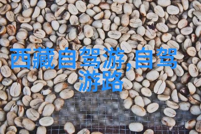 健康码核酸检测和隔离要求了解不同国家对中国游客的入境规定上