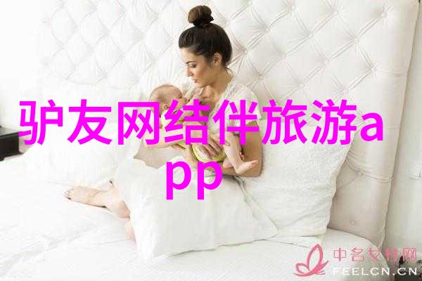 B站大舞台探秘人文艺术的绚烂盛宴