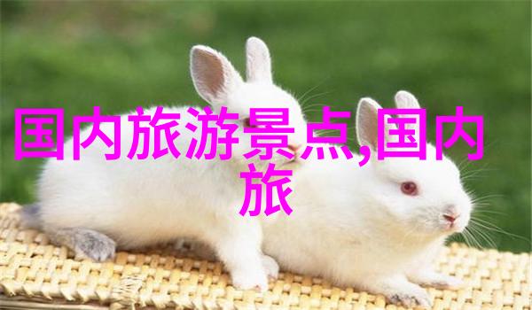 湖南旅游网官方网站探索湘江流域的奇迹与魅力