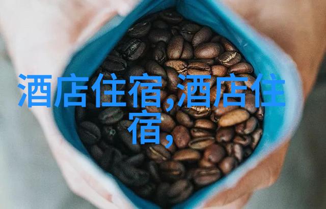 户外大班幼儿游戏全集100款活力趣味活动