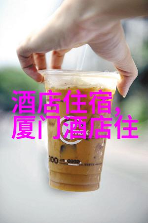 排球少年第三季热血青春的每一个旋转
